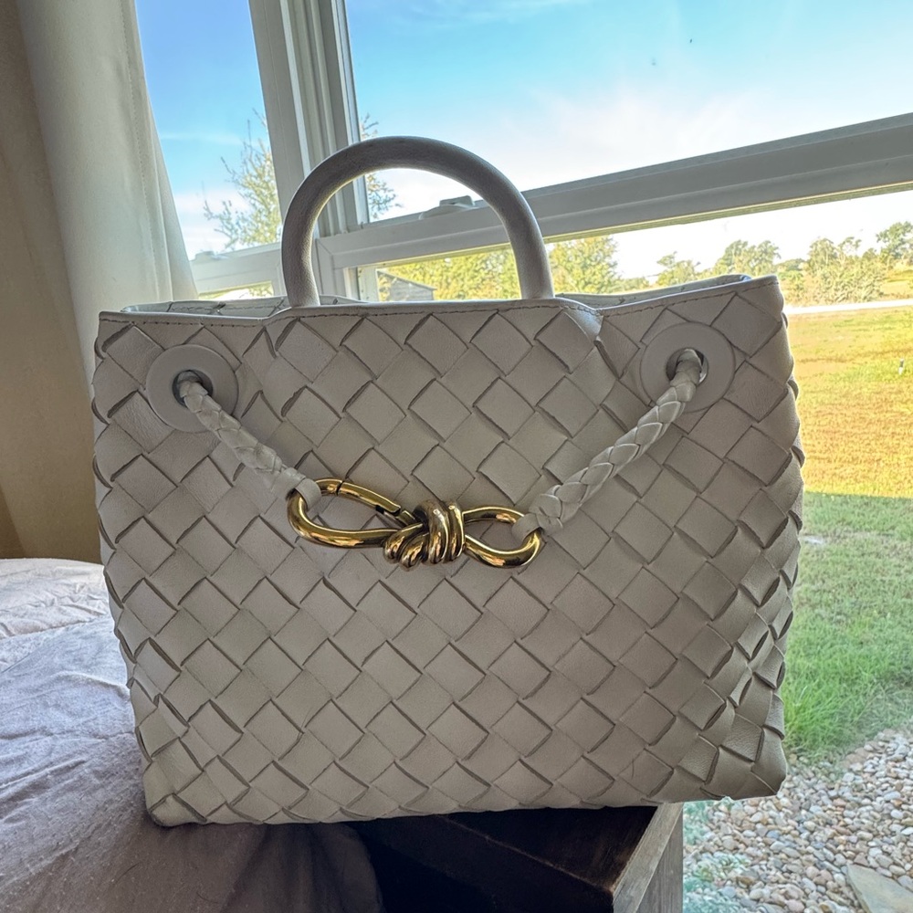 Bottega Veneta Andiamo small